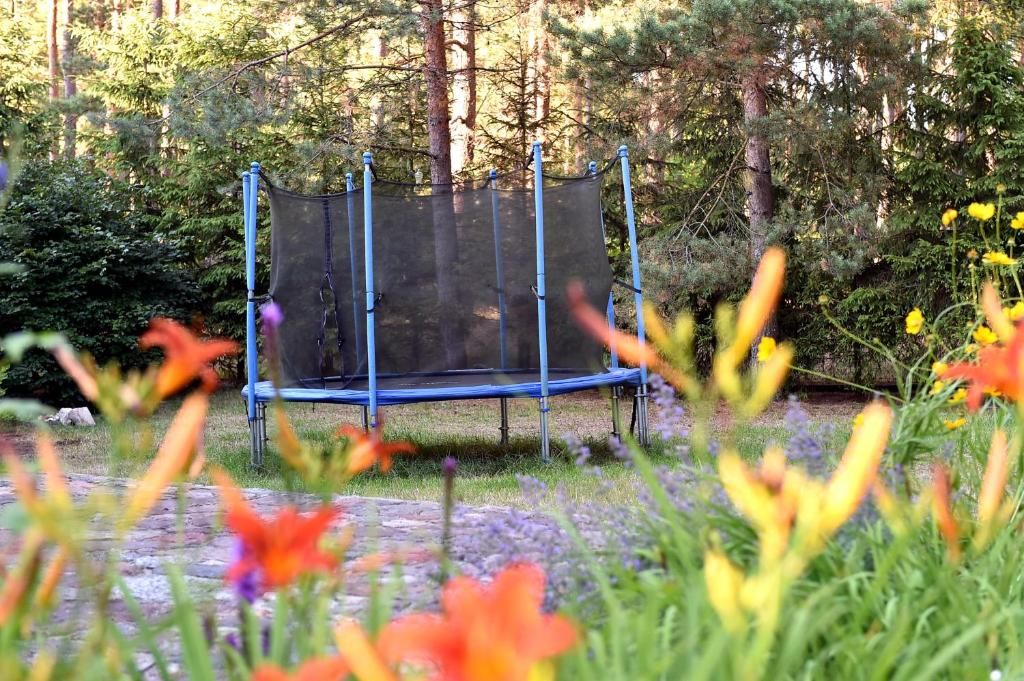 Виллы Leśna Strzecha Rotembark
